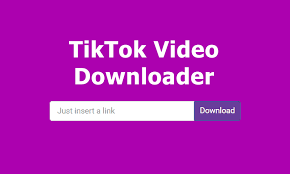 How to download TikTok videos without watermark from SSSTikTok