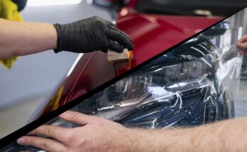 Car Paint Protection